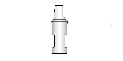 Solid Abutment