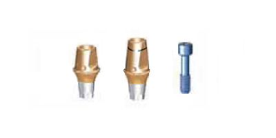 Cemented Abutments(II) Torx