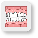 Icon Medit Ortho Simulation